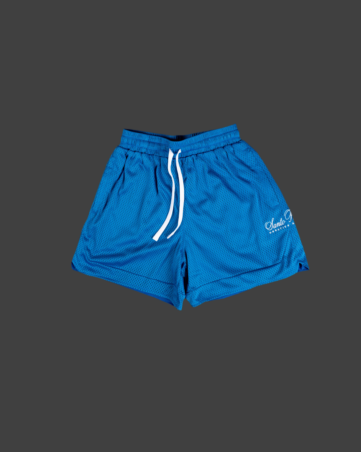 Patron Saint Blue Mesh Short